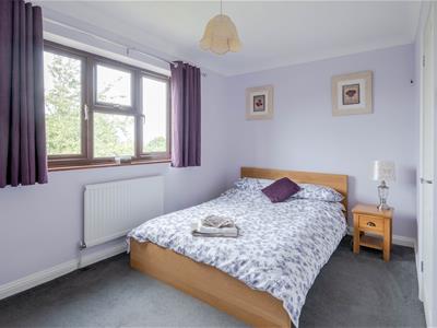 Picture 13